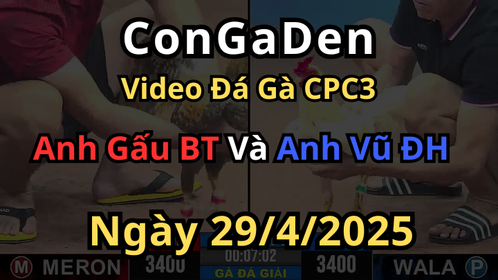 Mở bát giải quá đẳng cấp đến từ anh Vũ ĐH Giải CPC3 29/4/2025