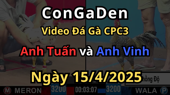 Chồng độ đá gãy cánh mà hòa đáng tiếc CPC3 15/4/2025