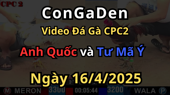 Đỏ đá như máy cày ghim dính hơn keo CPC2 16/4/2025