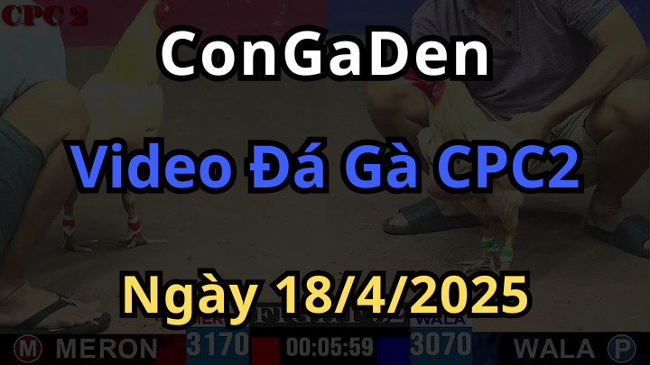 Full clip Đá Gà CPC2 ngày 18/4/2025 Có Bảo Sting