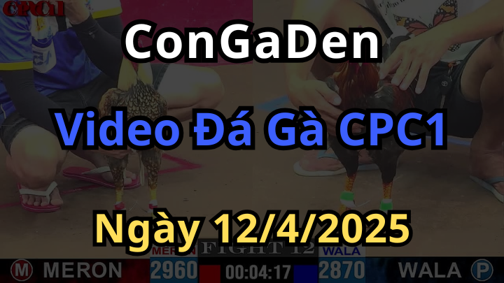 Full clip Đá Gà Trực Tiếp Thomo CPC1 Ngày 12/4/2025 Congaden
