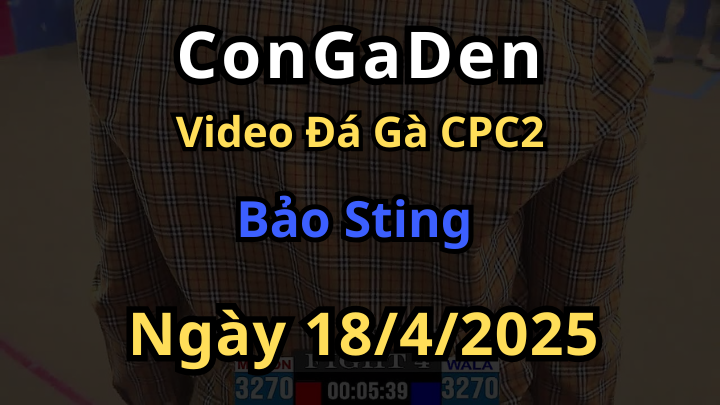 Các trận gà của Bảo Sting tại CPC2 Hôm Nay 18/4/2025