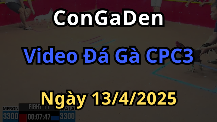 Video Đá Gà CPC3 trực tiếp ngày 13/4/2025 Tại Congaden