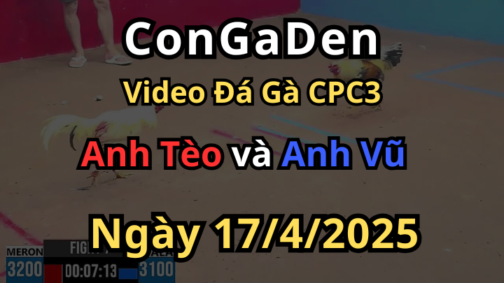Chủ gà phạm luật xử thua thẳng CPC3 17/4/2025