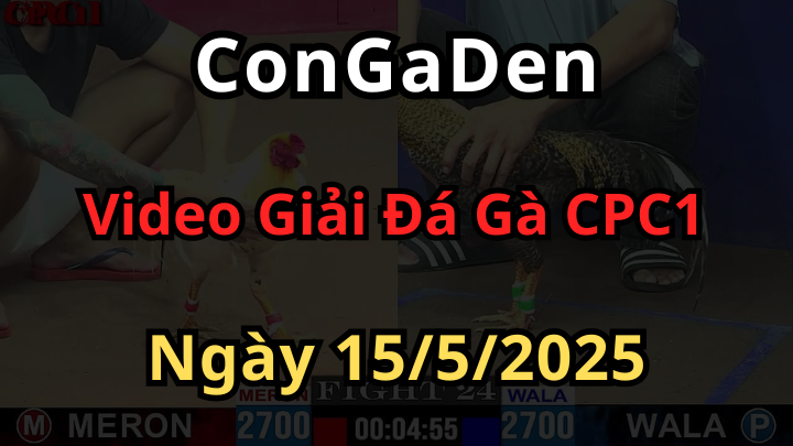 Trực Tiếp Giải Đá Gà Tự Do CPC1 Ngày 15/5/2025